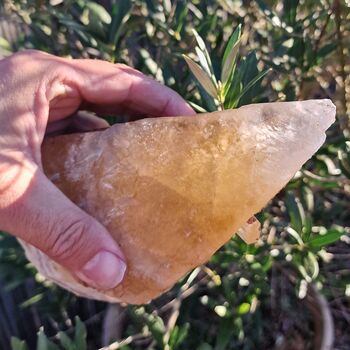 Orange Calcite Dogtooth Crystal No1A