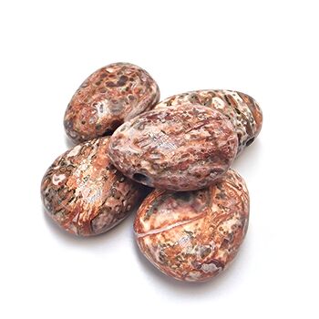 Side Drilled Leopardskin Jasper Tumbled Stone