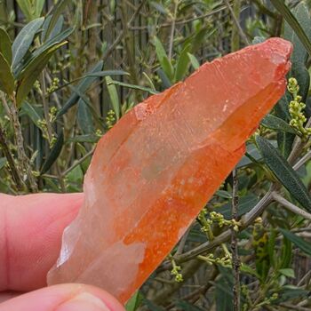 Orange Tangerine Quartz Point No2