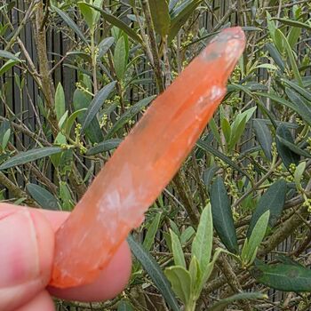 One off, Natural Orange Tangerine Quartz Crystal Point No1, 7.5cm long, Tabular, DT