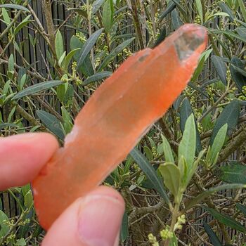 One off, Natural Orange Tangerine Quartz Crystal Point No1, 7.5cm long, Tabular, DT