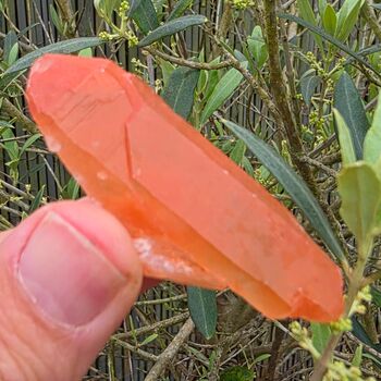 Orange Tangerine Quartz Point No1