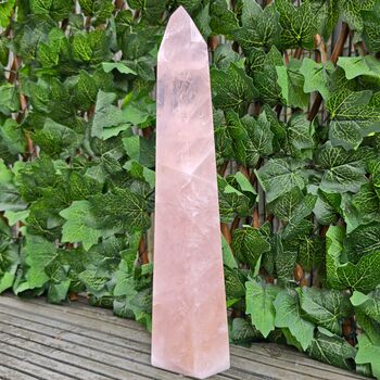 Large Rose Quartz Point, Polished L11