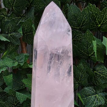 Large Rose Quartz Point, Polished L11