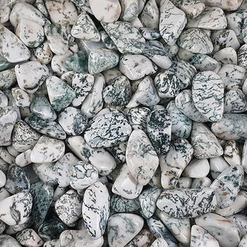 Tree Agate Tumbles bulk