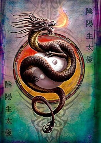 Yin Yang Protector Greetings Card