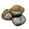 Bronzite Palm Stones