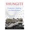 SHUNGITE Protection, Healing and Detoxification by Regina Martino