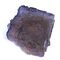 Purple Fluorite Specimen #42