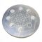 Phases of the Moon Selenite Plate 11cm