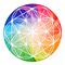 Colourful Flower of Life Style Grid Plate