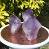 Amethyst Points with Flat Base